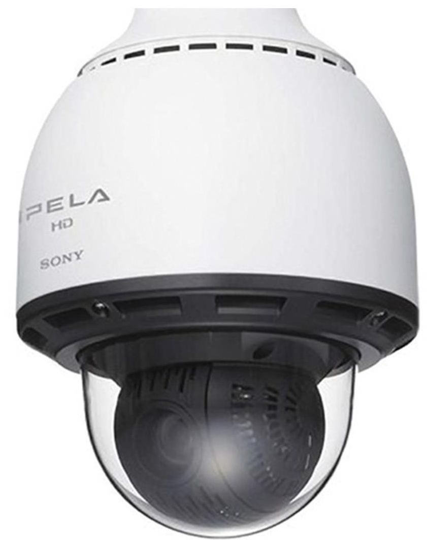 Sony Ipela Dome Camera HD Rapid Outdoor Security Surveillance SNC-RH164
